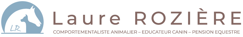 Logo Laure ROZIÈRE